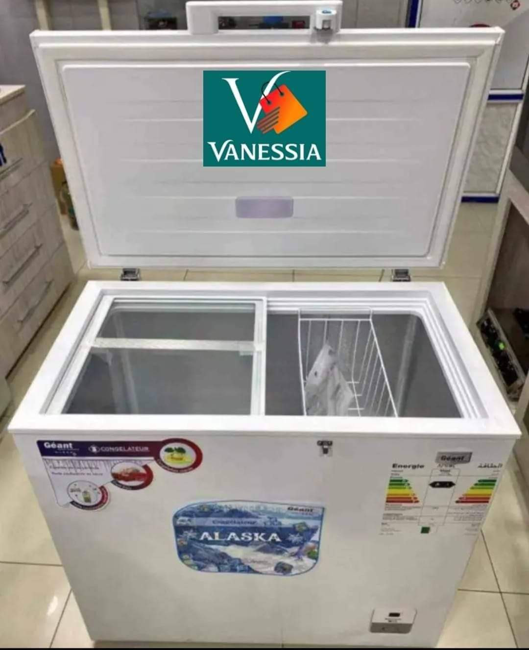 Congélateur marque géant 260 L