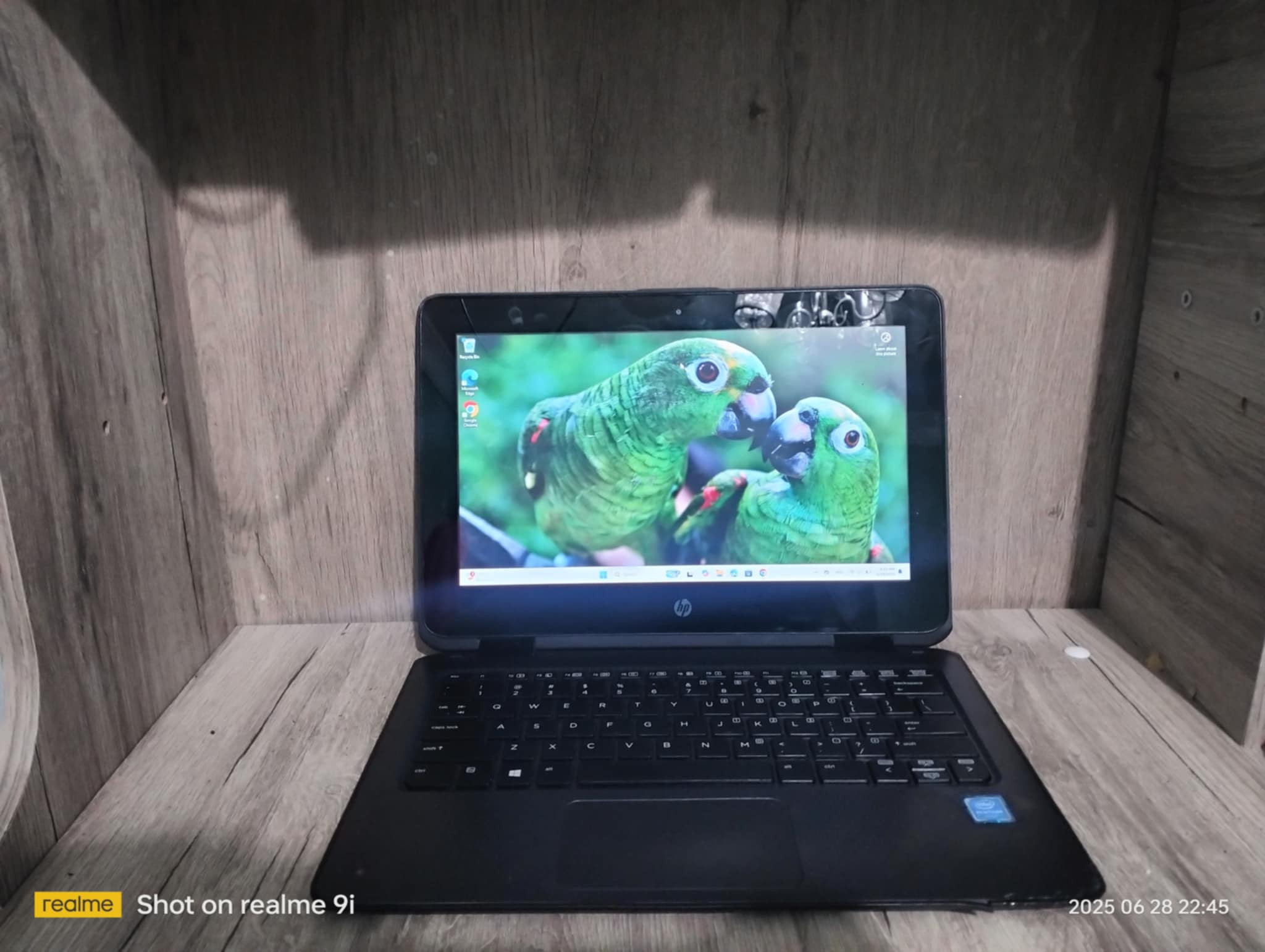 حاسوب من شركة hp.اسمه:hp pro book x360 11 g1 ee.