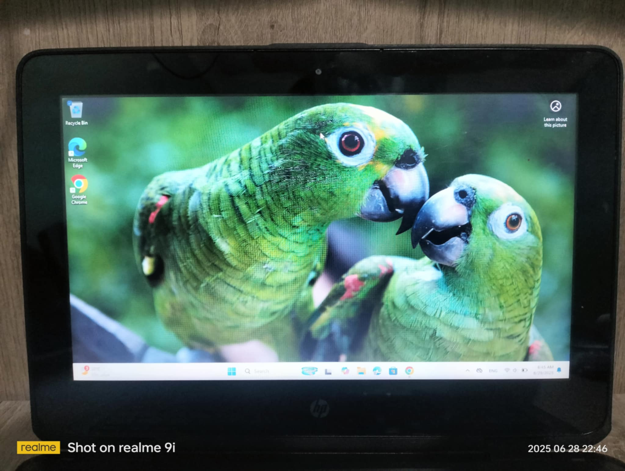 حاسوب من شركة hp.اسمه:hp pro book x360 11 g1 ee
