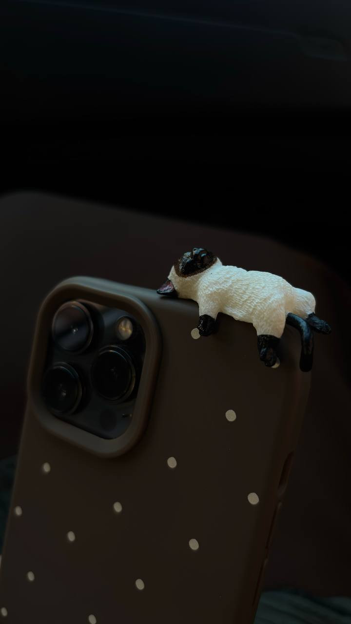 pochette iphone
