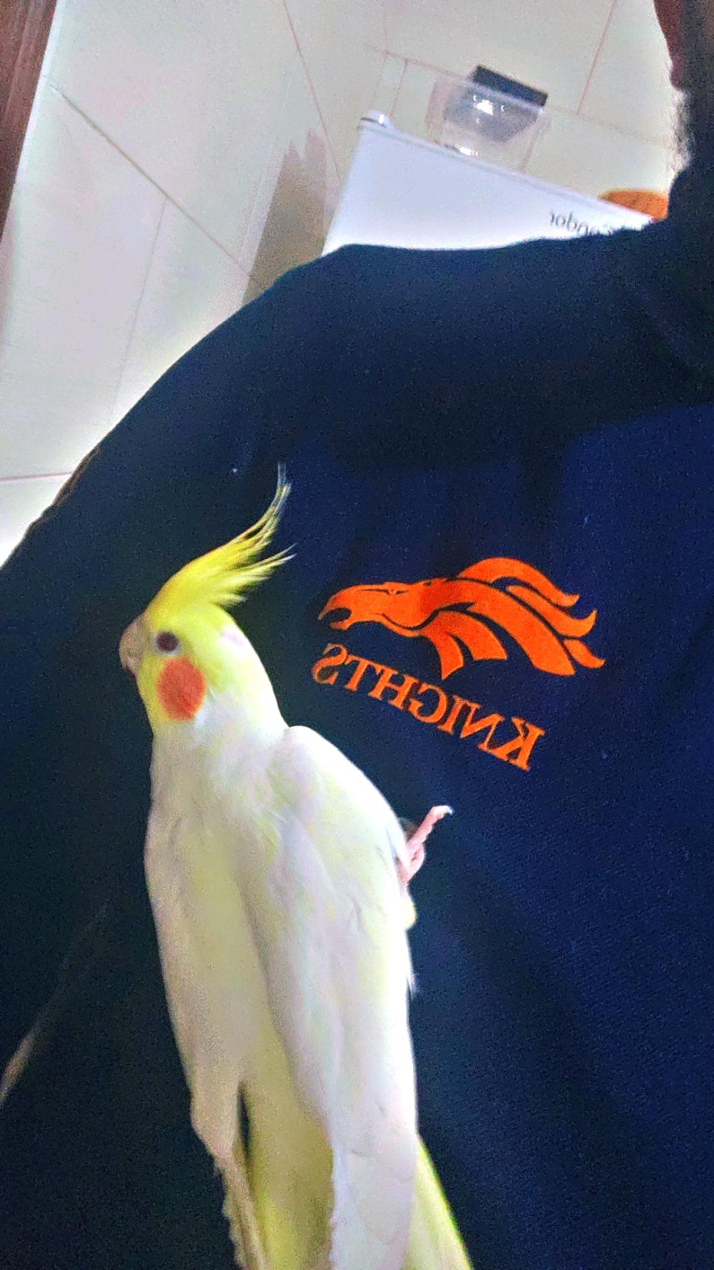 Profile