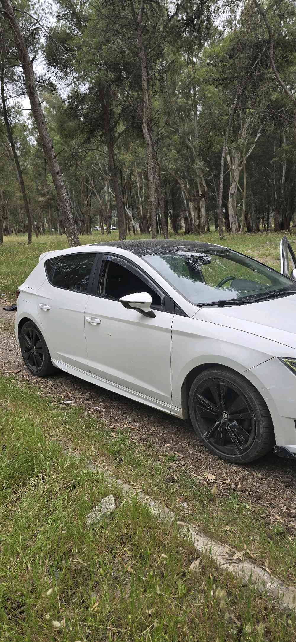 Profile